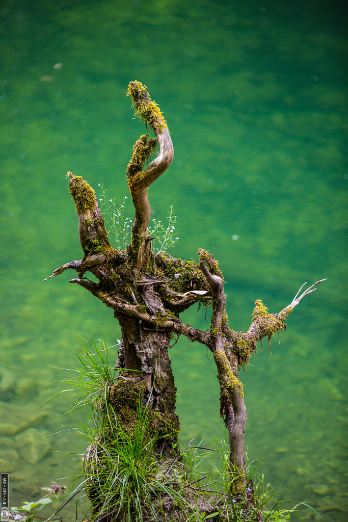Erlebniswelt Medlingtal