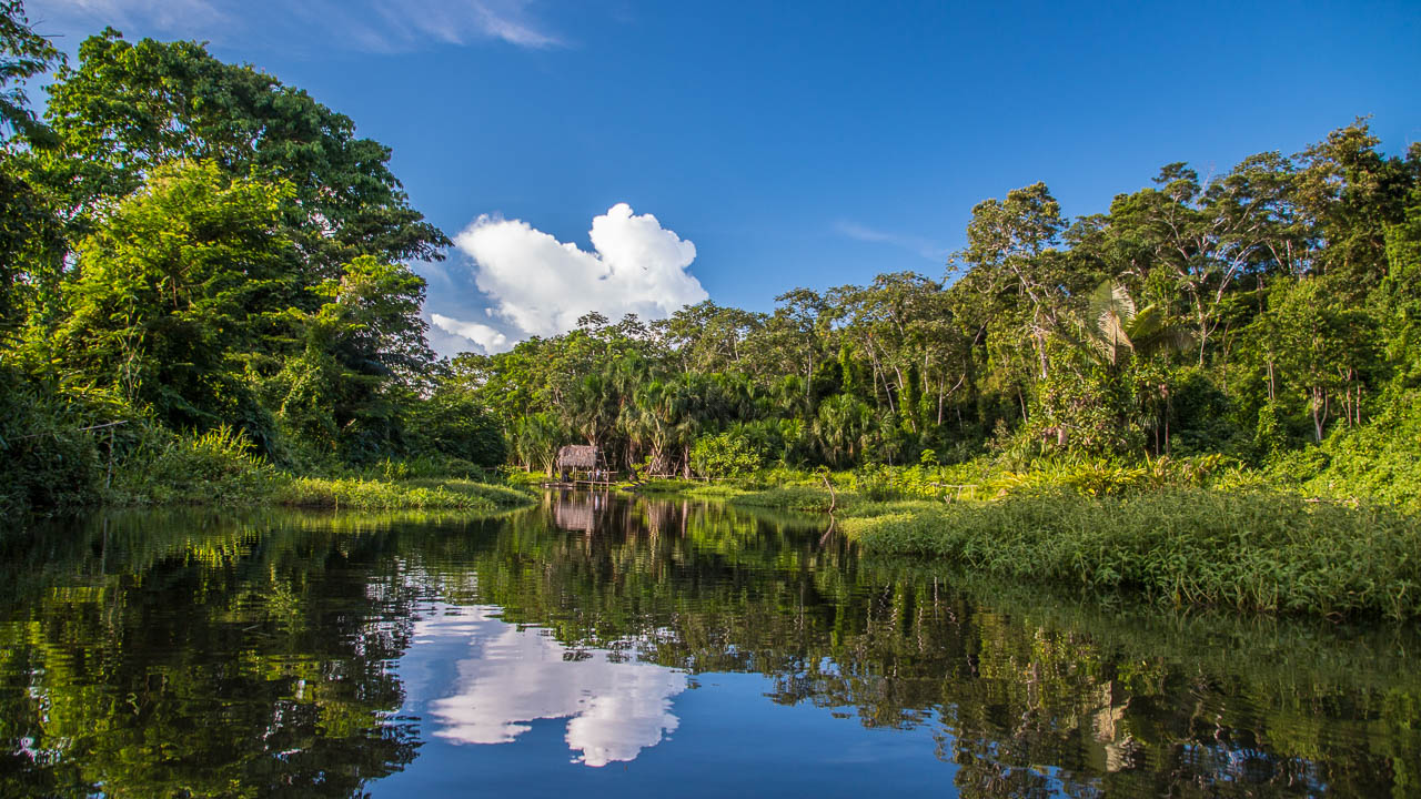 Click to view the Peruan river section